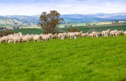 146 Timaru Road, Harden, NSW 2587