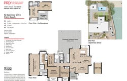 52 Japonica Drive, Palm Beach, Qld 4221