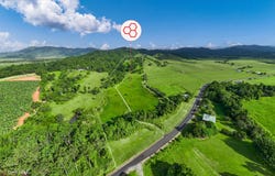 93 Mena Creek Road, Mena Creek, Qld 4871