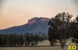 1163 Milbrodale Road, Broke, NSW 2330