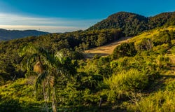 193 Petsch Creek Road, Tallebudgera Valley, Qld 4228