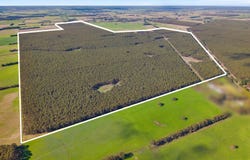 Cnr Hamilton-Port Fairy Road and Lyons Road, Byaduk, Vic 3301
