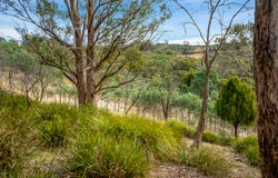 Lot 1 Yarlington Road, Colebrook, Tas 7027