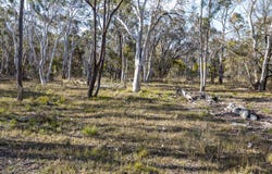 874 Sandy Point Road, Lower Boro, NSW 2580