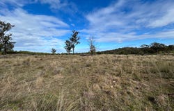2939 Mosquito Creek Road, Mosquito Creek, Qld 4387