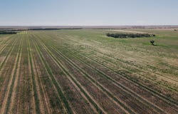 0 Stirlings, Loxton, SA 5333