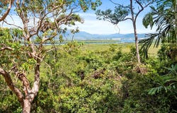 15 Pine Creek Yarrabah Road, East Trinity, Qld 4871