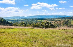 2405 Healesville Koo Wee Rup Road, Yellingbo, Vic 3139