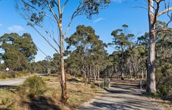 122 Eucalypt Lane, High Range, NSW 2575