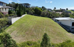 5 Gum Blossom Place, Tallwoods Village, NSW 2430