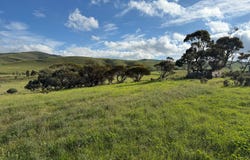 480 Three Chain Road, Cambrai, SA 5353