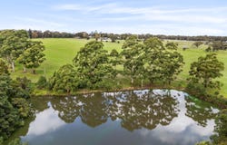 191 Bloodtree Road, Mangrove Mountain, NSW 2250