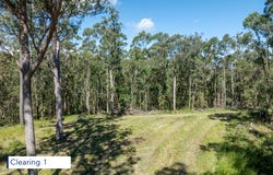 Lot 484, Bellthorpe Road, Sandy Creek, Qld 4515