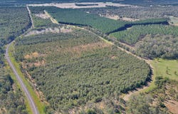 Lot 1A, 919 Clearfield Road, Myrtle Creek, NSW 2469