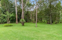 58 Michel Drive, Narangba, Qld 4504
