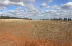 Lot 32, Milthorpe Street, Oaklands, NSW 2646