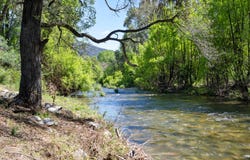 260-262 Kiewa Valley Highway, Tawonga South, Vic 3698