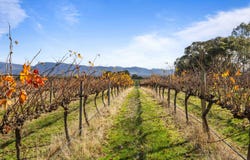 432 Wallaces Road, Moyston, Vic 3377
