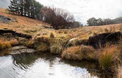 175 Tumbledown Road, Peak View, NSW 2630