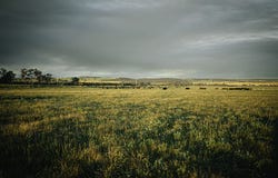 536 Nine Mile Swamp Road, Beermullah, WA 6503