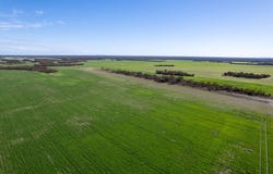 3276 Mount Hill-Coomaba Road, Moody, SA 5607