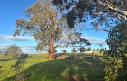 Lot 5 McAvaney Lane, Whites Flat, SA 5607