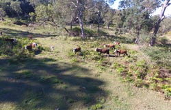 233 Sextonville Road, Doubtful Creek, NSW 2470
