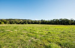 646 Laceys Creek Road, Laceys Creek, Qld 4521