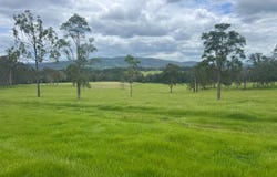 5218 Clarence Way, Fine Flower, NSW 2460