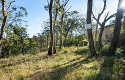 40 Essendene Road, Katoomba, NSW 2780