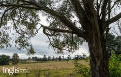 12 Westminster Place, Razorback, NSW 2571
