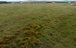 1706 Braidwood Road, Tarago, NSW 2580