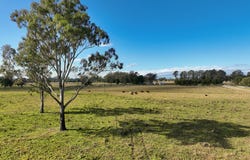440 Perkins Bridge Road, Greenridge, NSW 2471