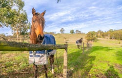 71 English Street, Hahndorf, SA 5245