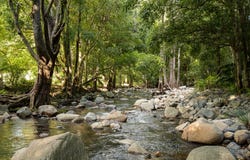 894 Cedar Creek Road, Cedar Creek, Qld 4520