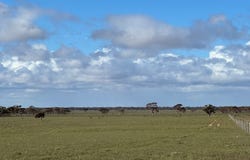 Section 93 Foote Road, Brownlow, SA 5374