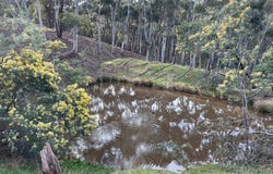 210 & 230 Mannings Road, Dry Diggings, Vic 3461