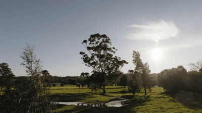 /international/au/meander-road-bullsbrook-wa-204545836/