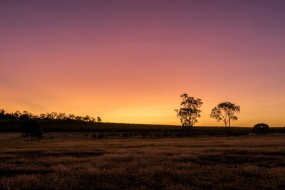 /international/au/lowood-qld-204523128/