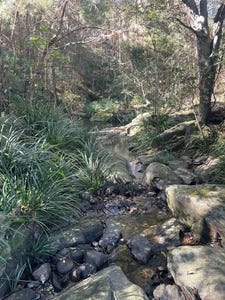 /international/au/ocean-view-qld-204638324/