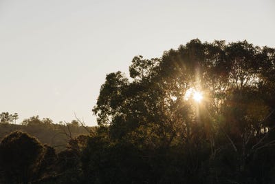 /international/au/bullsbrook-wa-204340736/