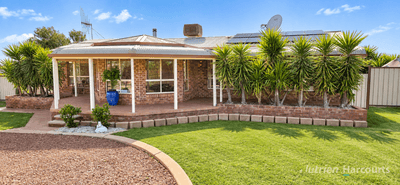 /international/au/237-lerida-road-cobar-nsw-152488752/