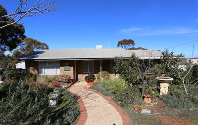 /international/au/11-bachelor-avenue-kambalda-east-wa-148729208/?lang=zh-tw