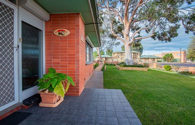 /international/au/115-rudall-avenue-whyalla-playford-sa-151548080/
