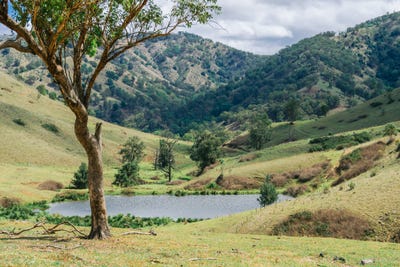 /international/au/1746-stewarts-brook-rd-stewarts-brook-nsw-700400632/