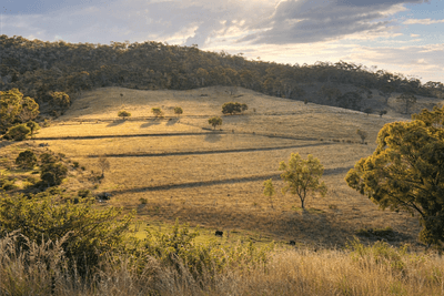 /international/au/376-lagoon-creek-road-west-haldon-qld-700402752/