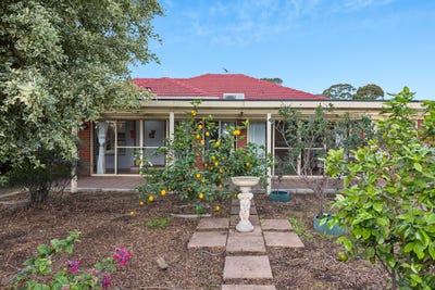/international/au/365-marion-road-plympton-sa-151575768/