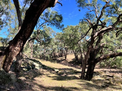 /international/au/3775-coonabarabran-road-coonabarabran-nsw-700410100/