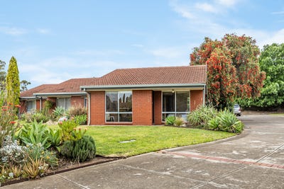 /international/au/3-13-windsor-avenue-clovelly-park-sa-152624428/