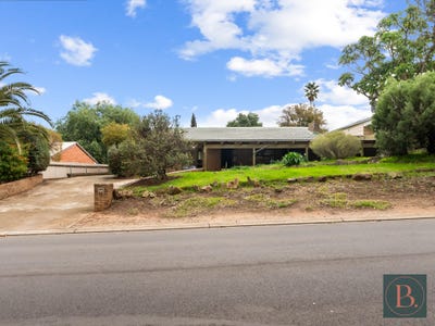 /international/au/13-haines-road-willaston-sa-148643936/?lang=en